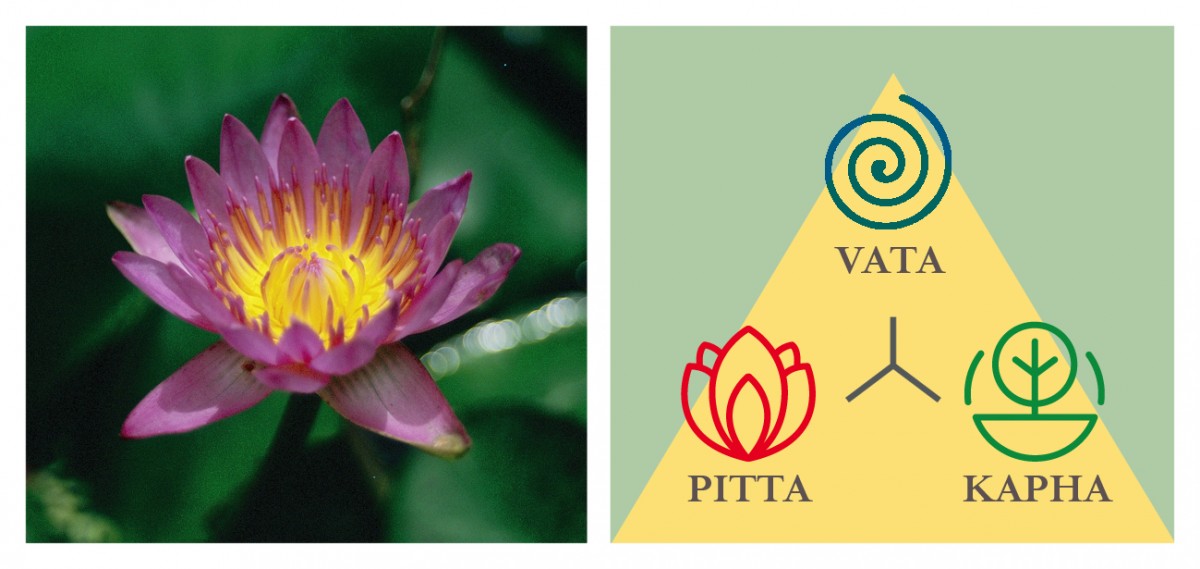 Ayurveda per tutti
